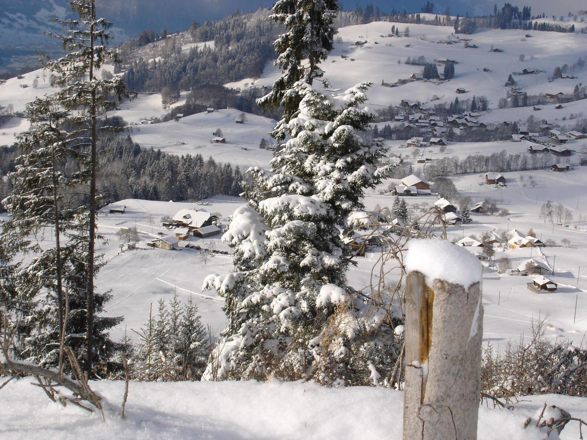 Chalet Sunneschyn Schwanden  Bagian luar foto