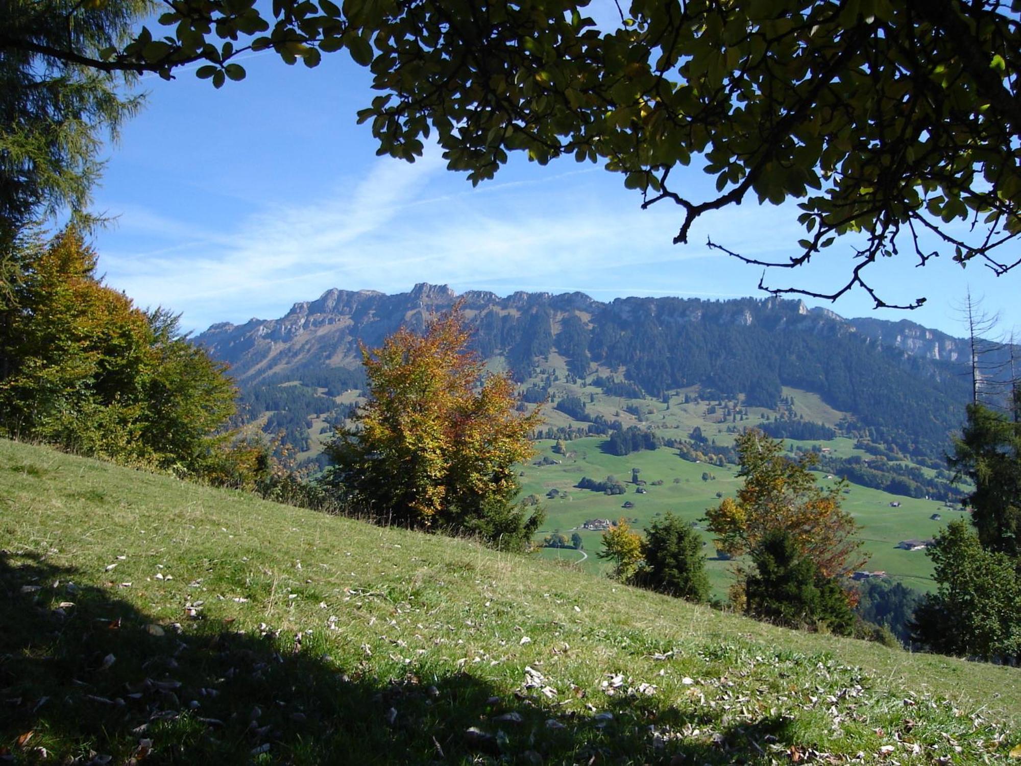 Chalet Sunneschyn Schwanden  Bagian luar foto
